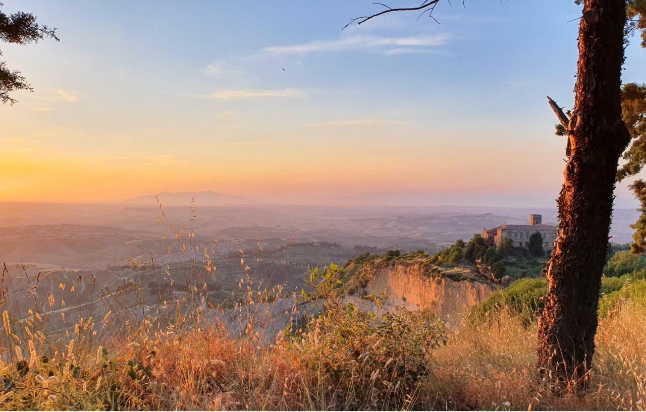 Il Sogno Di Annalisa Il Nido Apartment Volterra Ngoại thất bức ảnh